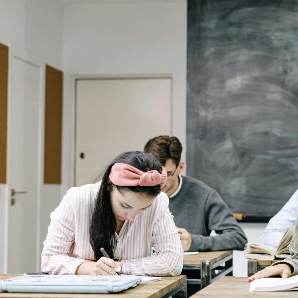 Az érvelő fogalmazás a felvételin: 4 lépéses módszer