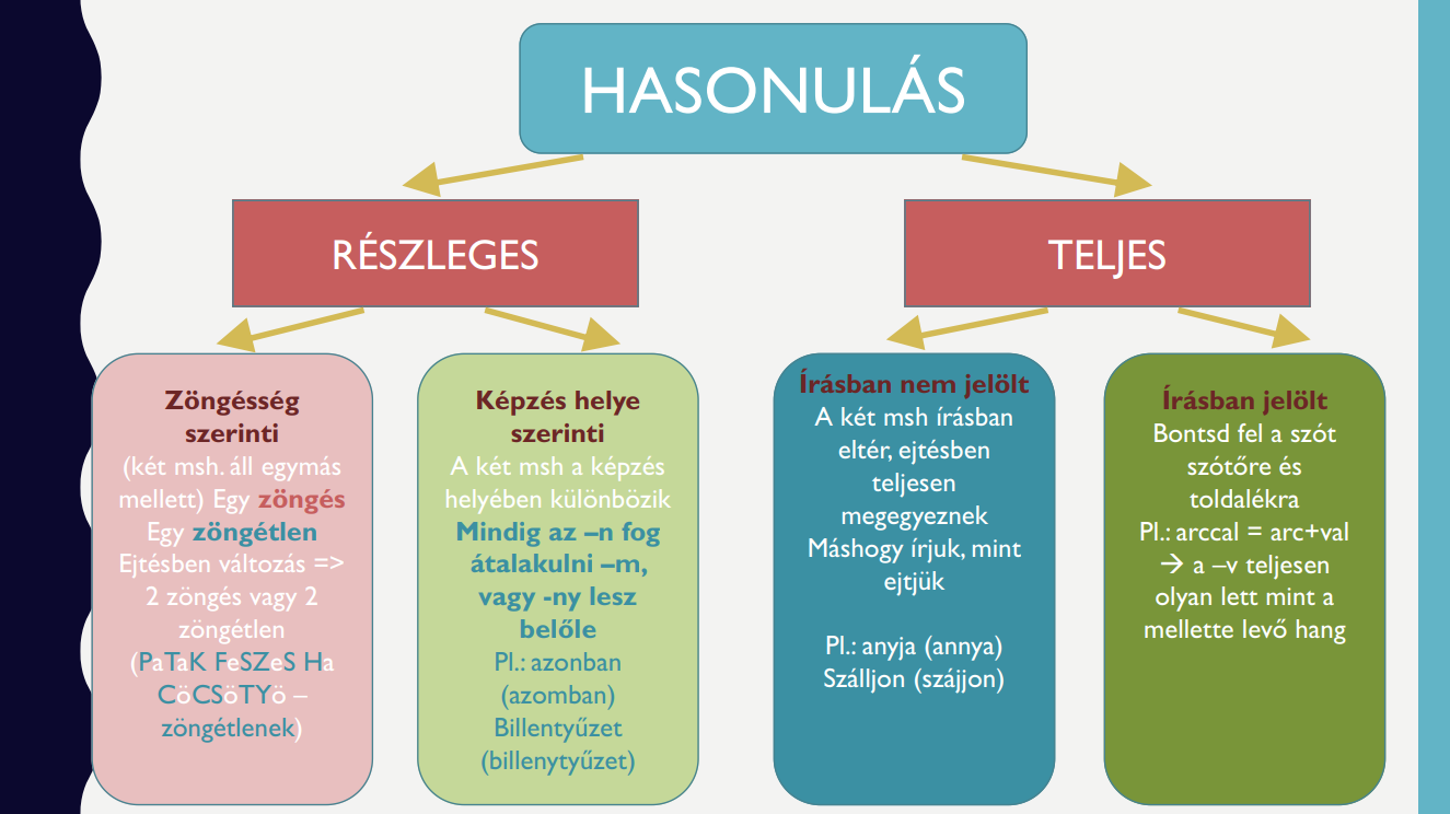 Hasonulás áttekintő ábra